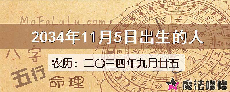 2034年11月5日出生的人