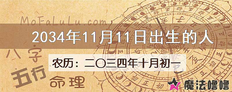 2034年11月11日出生的人