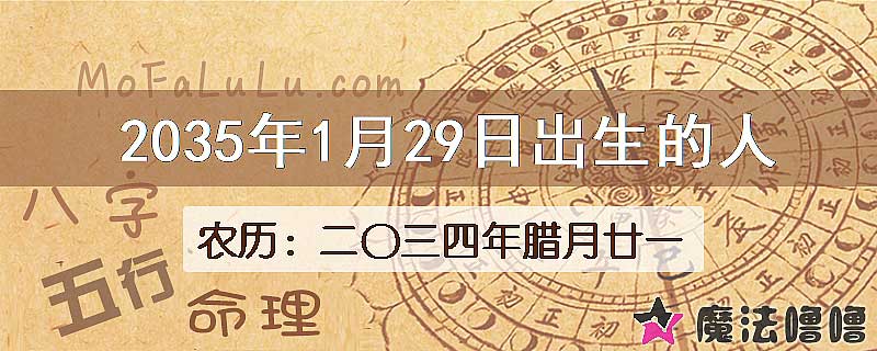 2035年1月29日出生的人