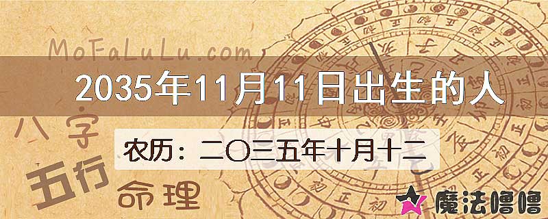 2035年11月11日出生的人