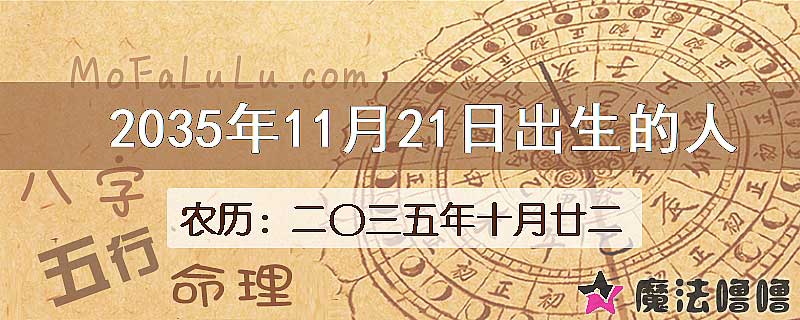 2035年11月21日出生的人