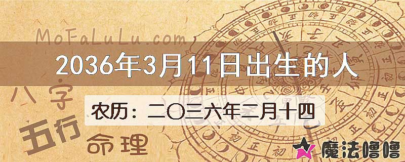 2036年3月11日出生的人