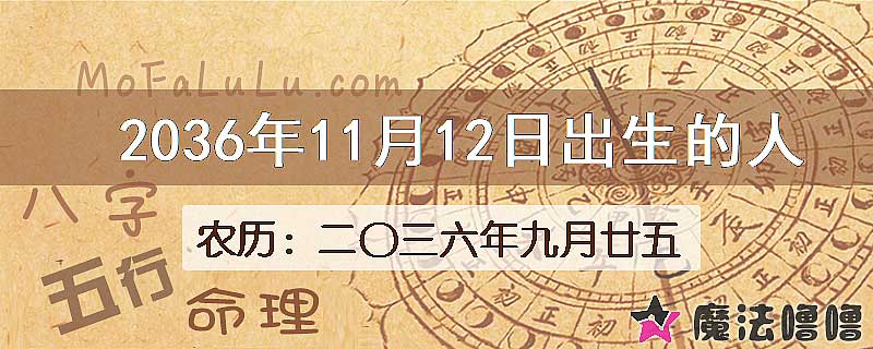 2036年11月12日出生的人