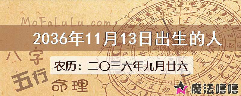 2036年11月13日出生的人