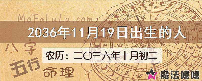2036年11月19日出生的人