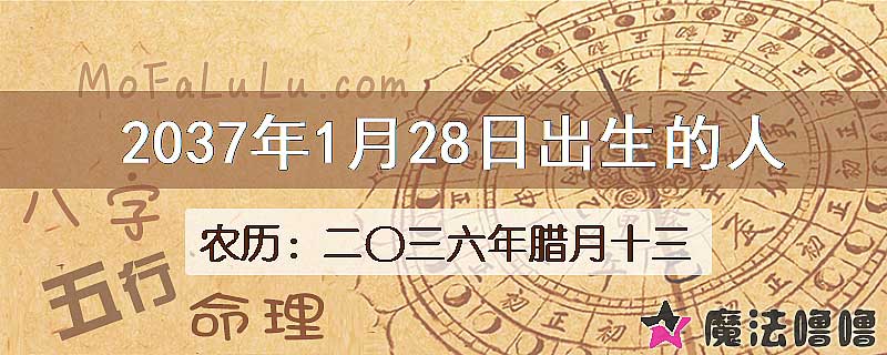 2037年1月28日出生的人