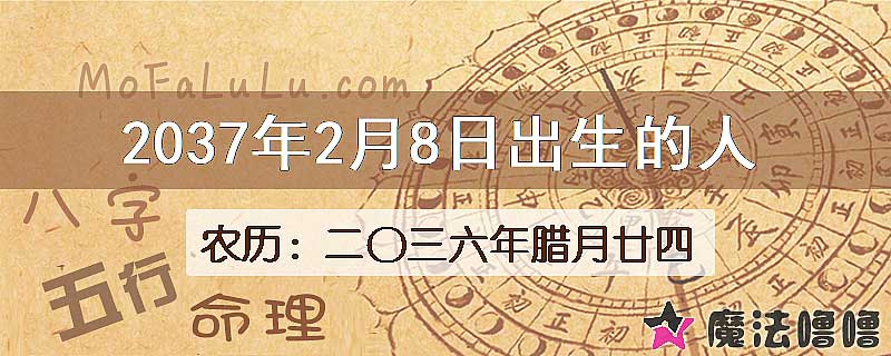 2037年2月8日出生的人