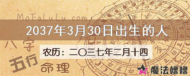 2037年3月30日出生的人