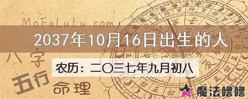 2037年10月16日出生的人