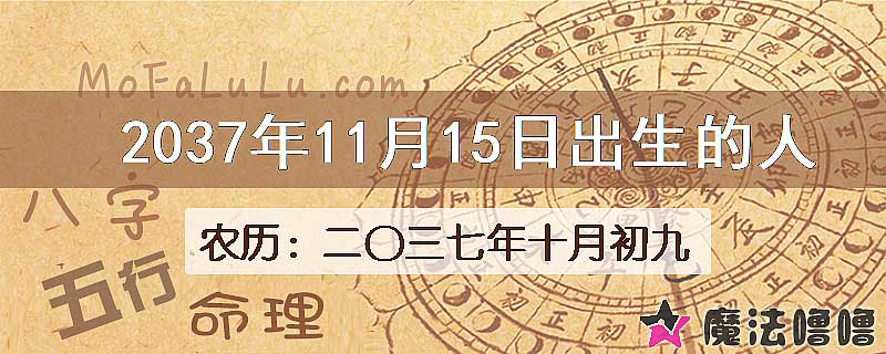 2037年11月15日出生的人