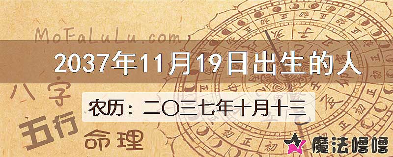 2037年11月19日出生的人