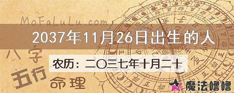 2037年11月26日出生的人