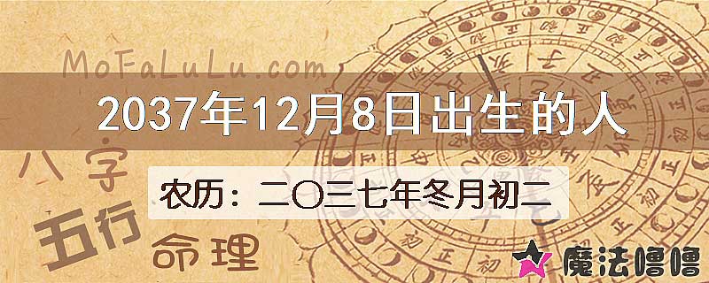 2037年12月8日出生的人