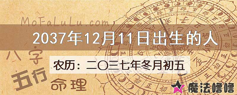 2037年12月11日出生的人