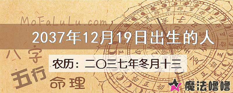 2037年12月19日出生的人