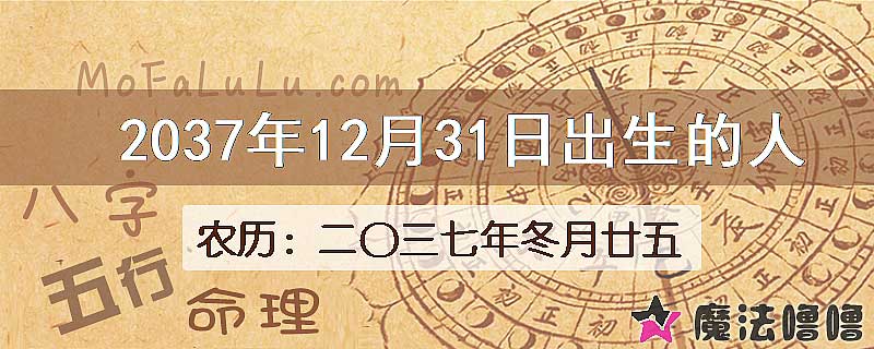 2037年12月31日出生的人
