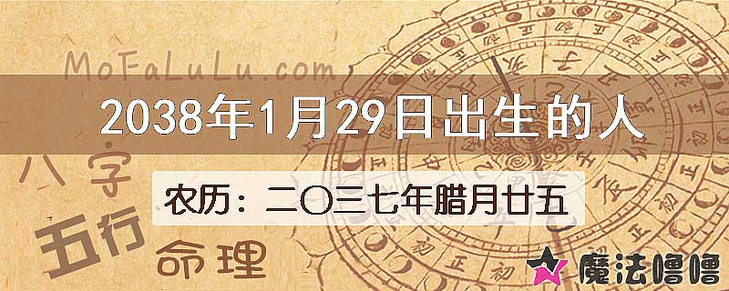 2038年1月29日出生的人
