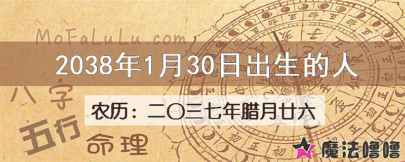 2038年1月30日出生的人