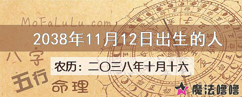 2038年11月12日出生的人