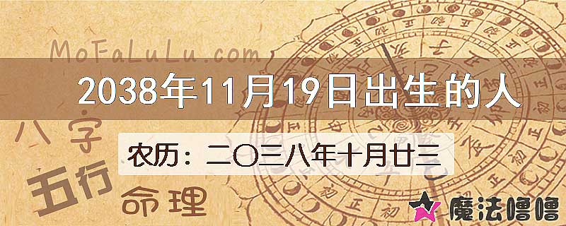2038年11月19日出生的人