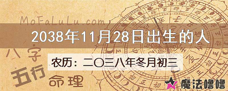 2038年11月28日出生的人