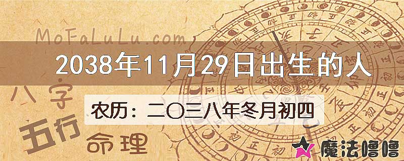 2038年11月29日出生的人