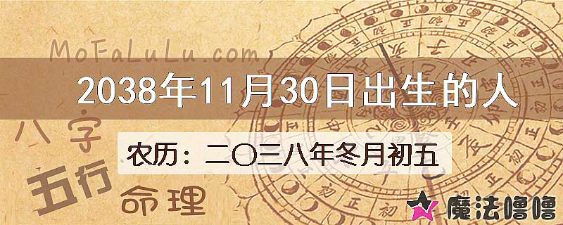 2038年11月30日出生的人