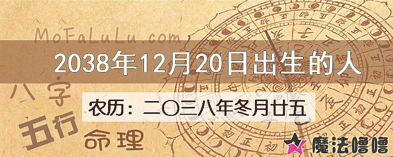 2038年12月20日出生的人
