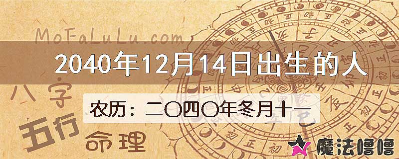 2040年12月14日出生的人