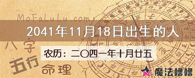 2041年11月18日出生的人