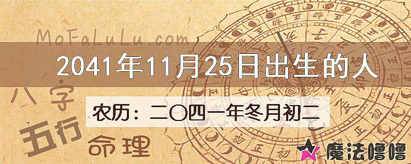 2041年11月25日出生的人