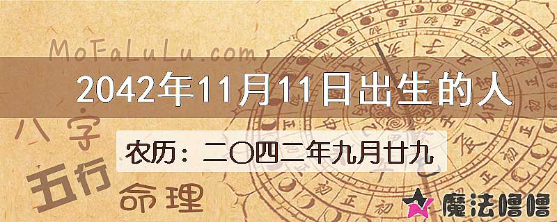 2042年11月11日出生的人