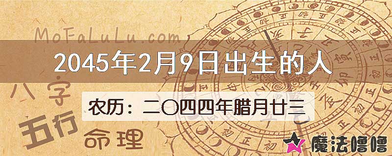 2045年2月9日出生的人