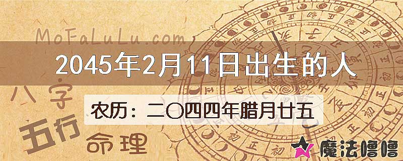 2045年2月11日出生的人