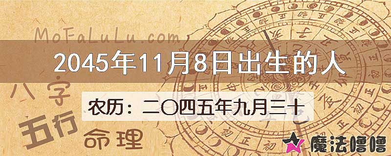 2045年11月8日出生的人