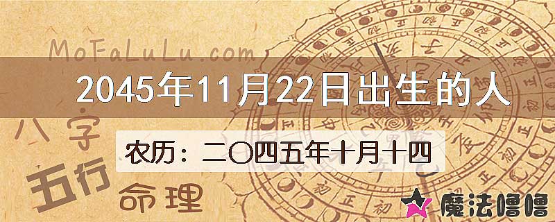 2045年11月22日出生的人