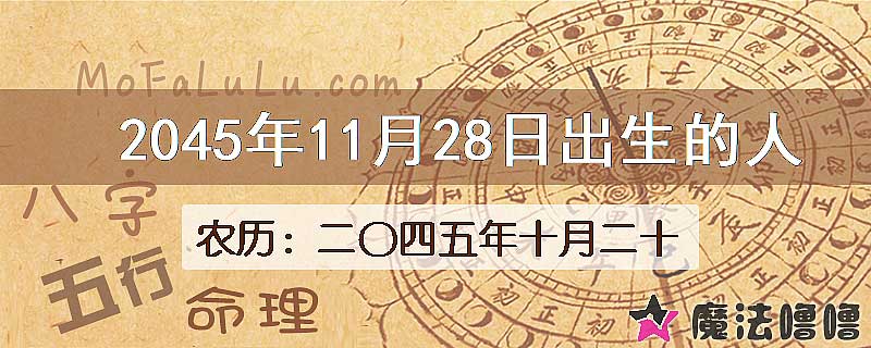 2045年11月28日出生的人