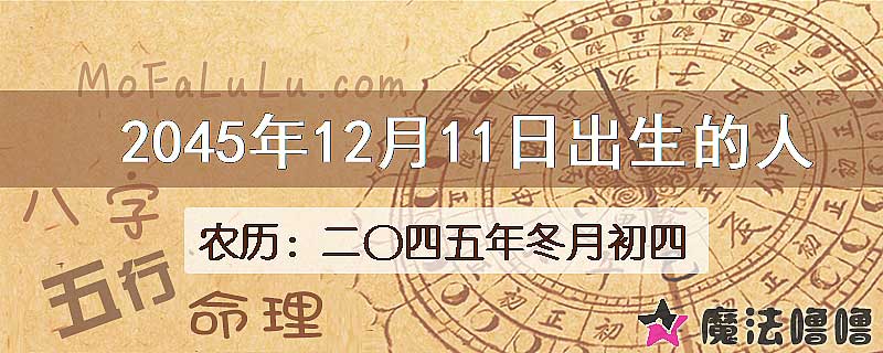 2045年12月11日出生的人