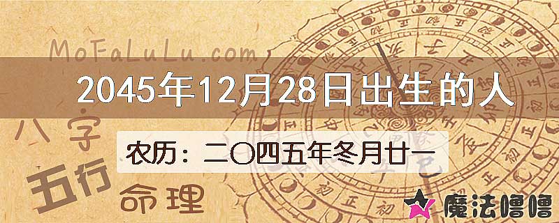 2045年12月28日出生的人