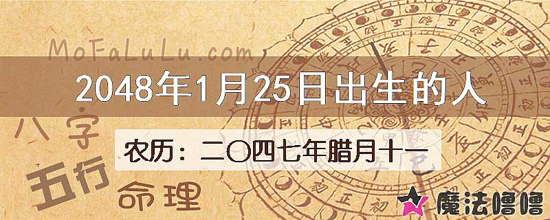 2048年1月25日出生的人