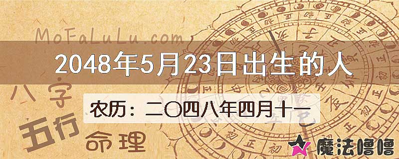 2048年5月23日出生的人