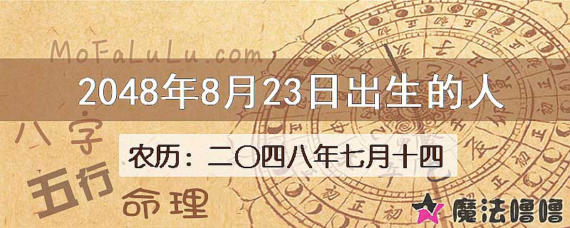 2048年8月23日出生的人