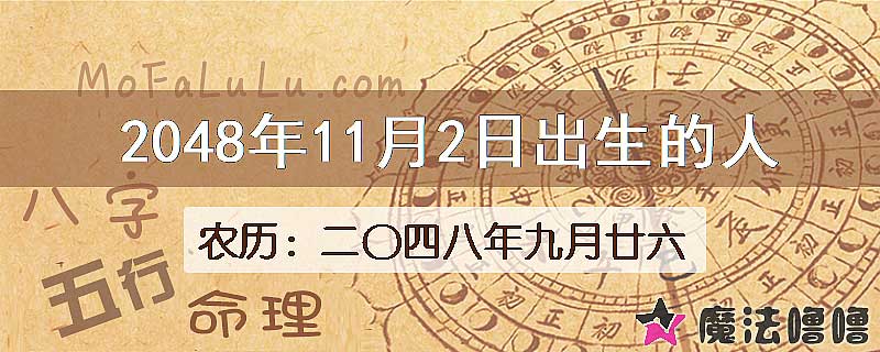 2048年11月2日出生的人