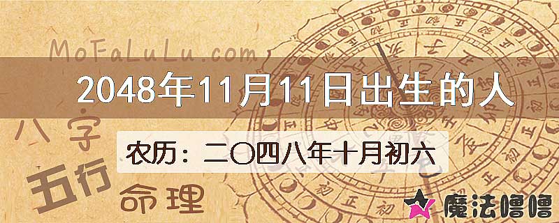 2048年11月11日出生的人