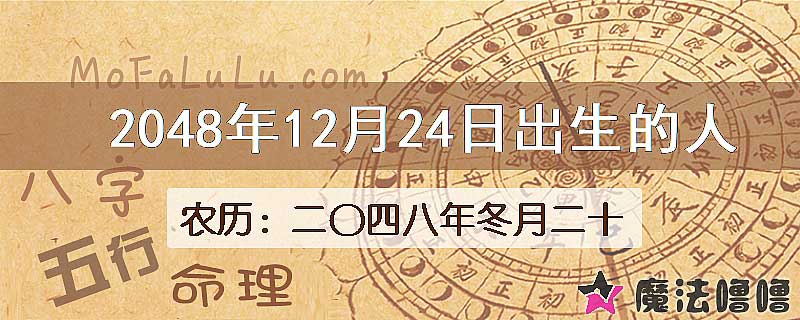 2048年12月24日出生的人