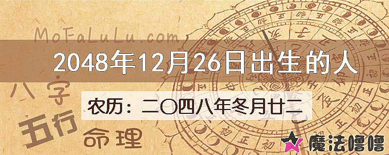 2048年12月26日出生的人