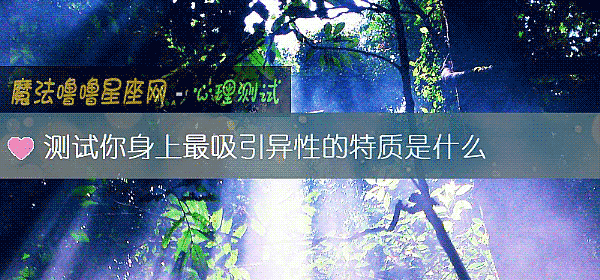 测试你身上最吸引异性的特质是什么