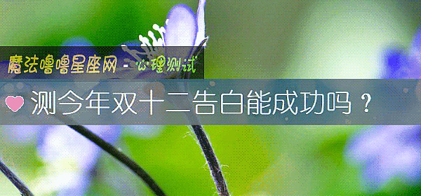 测今年双十二告白能成功吗？