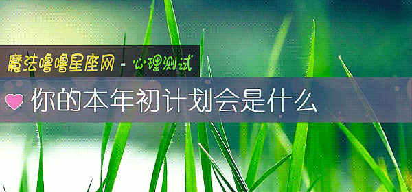 你的本年初计划会是什么