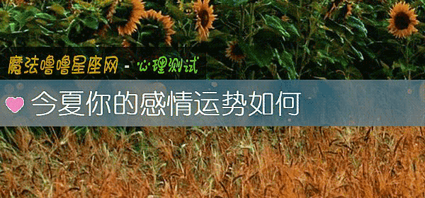 今夏你的感情运势如何